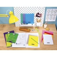 Cahier 8000 POLYPRO 24 x 32 cm 96 Pages 90g Violet