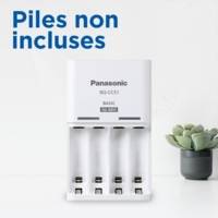 Eneloop Chargeur Basic BQ-CC51E Pour 2 ou 4 Piles AA/AAA (Sans Piles)