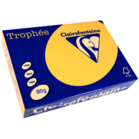 Ramette 500 Feuilles Papier 80g A4 210x297 mm Certifié FSC  Bouton d'Or