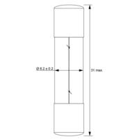 Ampoule de Type Fusible, 1,6 W 6,3 V (DC), 250 mA