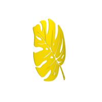 Accessoire décoratif MONSTERA - 30,5 x 39 cm - Gedimat