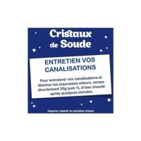 Cristaux de Soude Nettoyant Multi-Usage 100% d'Origine Naturelle 680 g