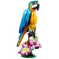 Creator 3-en-1 Le Perroquet Exotique