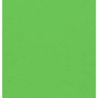 Rouleau Papier Kraft Couleur 65g 3x0,70m - Vert mousse