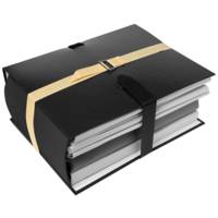 Lot de 25 sangles pour chemise de classement 1 m Beige