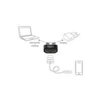 Adaptateur Prise femelle HDMI A vers fiche mâle USB A noir