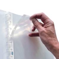 Lot de 10 pochettes amovibles polypro pour protège documents Vario Zip