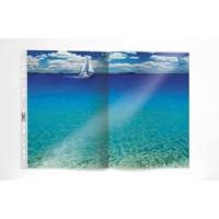 Sachet de 10 Pochettes perforées A3 oblong PP Transparent Plié A4 - DURABLE