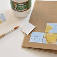 Cléocol en pot de 250 gr