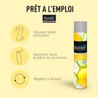 Désodorisant d'atmosphère 500 ml parfum Citron Professional