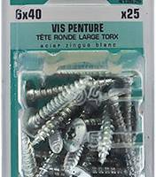 Vis penture tête ronde large empreinte Torx en acier zingué 6 x 40 mm - Gedimat - NORAIL