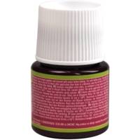 Flacon 45ml peinture Vitrea 160 brillante pour verre ROSE BENGALE - PÉBÉO