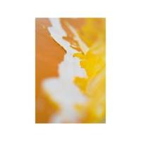 Peinture Huile Fine XL Studio 37 Ml Jaune Cadmium Fonce Imitation - PÉBÉO