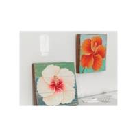 Powerstrips lot 2 crochets cadre photo +4 Strips large Blanc