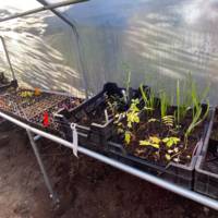 Support cagettes fruits et légumes pour serre - Kit de départ 1,5m - Serres Tonneau