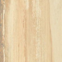 Carrelage sol intérieur SHERWOOD - 15 x 100 cm ép.9,5mm - Gedimat