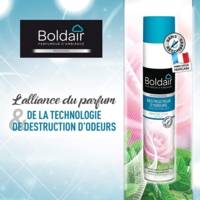 Aérosol 500 ml Désodorisant destructeur d'odeurs Fleurs boisées