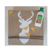 Cléocol Colle Blanche multi usage en 5 kg - CLÉOPÂTRE