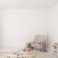 Peinture murs et plafonds BLANC RAPIDE velours - Gedimat - JULIEN