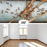 Pack de 4 Boites Appât Anti-Fourmis 0% Evaporation d'Insecticide