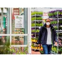 Pochette d'affichage, étanche, A4, transparent