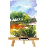 Lot de 6 flacons en 250 ml Aquarel'Gel , Jaune Primaire, Rouge Vif, Bleu Primaire, Vert Sapin, Noir, Sépia Terre de Sienne - CLÉOPÂTRE