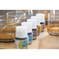 Coffret Collection Peinture Verre Vitréa 160 10X45ML N°2 - PÉBÉO