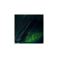 Peinture Huile Fine XL Studio 37 Ml Vert De Vessie - PÉBÉO