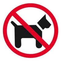 Pictogramme interdit aux chiens 114 x 114 mm