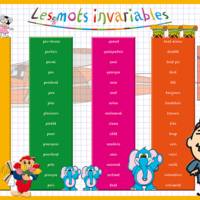 Sous main éducatif 30x42 "Les mots invariables" - ARIS EDITIONS