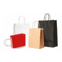 Sac à Poignées Torsadées Kraft 80g Taille XS 24x8x18cm Brun