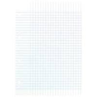 Feuillets mobiles 21x29,7 cm 100 pages grands carreaux bleus 80g - CONQUÉRANT