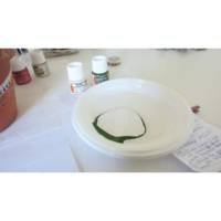 Flacon 45 ml peinture CERAMIC faïence et multi support VERT