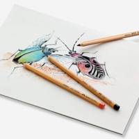 Crayon Pitt Pastel couleur Sienne Brulée 283 - FABER-CASTELL