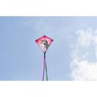 Cerf-volant Eddy 1 ligne Licorne Envergure 680 mm