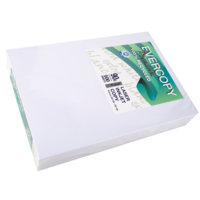 Ramette 500 Feuilles Papier 90g A4 210x297 mm Certifié Ange Bleu Premium Blanc