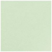 Rouleau papier kraft 3x0.70m Vert bourgeon