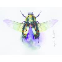 Bloc Etival grain fin 18x24 25 feuilles 300g encollé 4 côtés