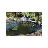 Bordure ECOLAT - rouleau de 25 m - Gedimat - CHAMORIN