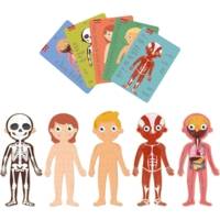 Puzzle - Enfant - 240 pièces - Apprendre le corps humain