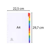 Intercalaires carte blanche 160g avec onglets couleurs renforcés - 12 positions - A4 - Blanc