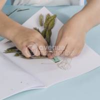 Coffret créatif Presse fleurs et herbier - Multicolore - AVENUE MANDARINE