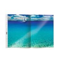 Pack 50 Pochettes Perforées A3 Paysage PP, 0,06 mm - DURABLE