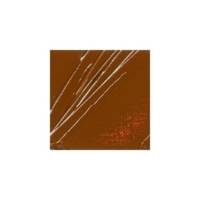 Peinture Huile Fine XL Studio 37 Ml Sienne Naturelle