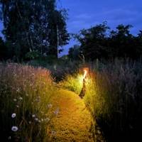 Éclairage solaire urbain Woodle™ Standard