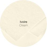 Lot de 20 Enveloppe 120g 110x220 ivoire