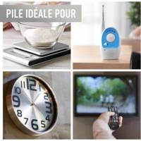 Pack 20 Piles Alcalines Everyday Power SILVER AA LR6