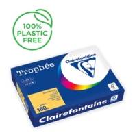 Ramette Papier FSC A4 160g 250 Feuilles Bouton d'Or