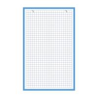 Bloc de 30 fiches bristol 125X200 perforées Q5/5 bleu