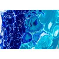 Kit Pouring Expériences 47 Pièces Peinture Acrylique Pré-mélangée Prête à l'Emploi